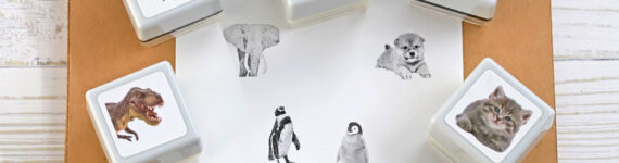 image_top_realphoto2026