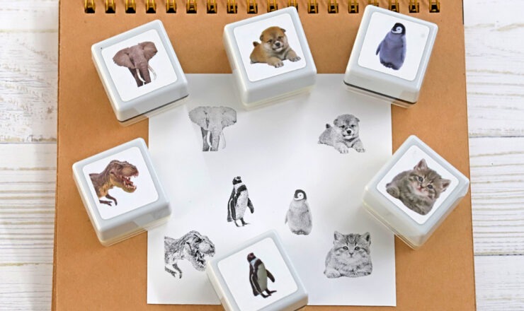 image_top_realphoto2026