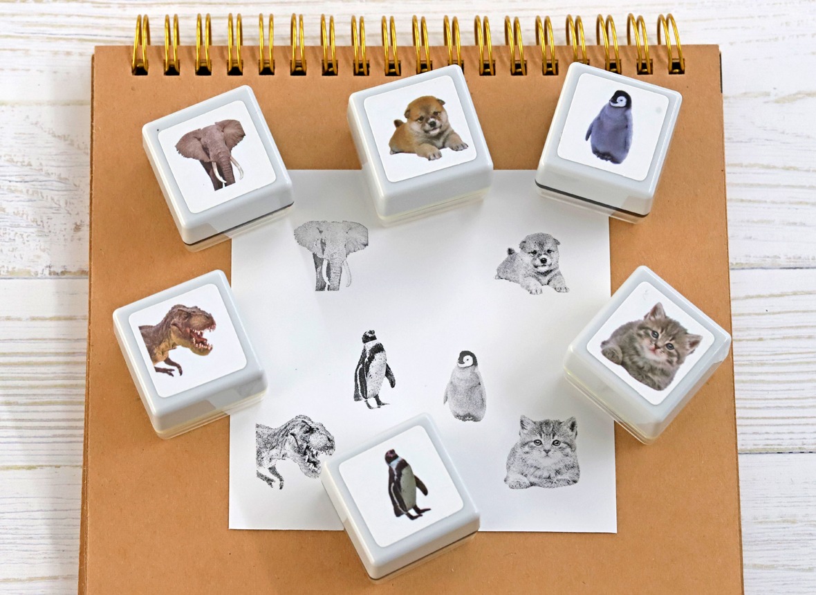 image_top_realphoto2026